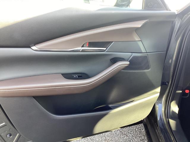 ����ȃh�A����