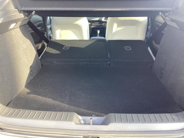 �㕔���Ȃ�|���Ƃ��Ȃ�̍L��������傫�ȉו������N���N�ς߂܂���I