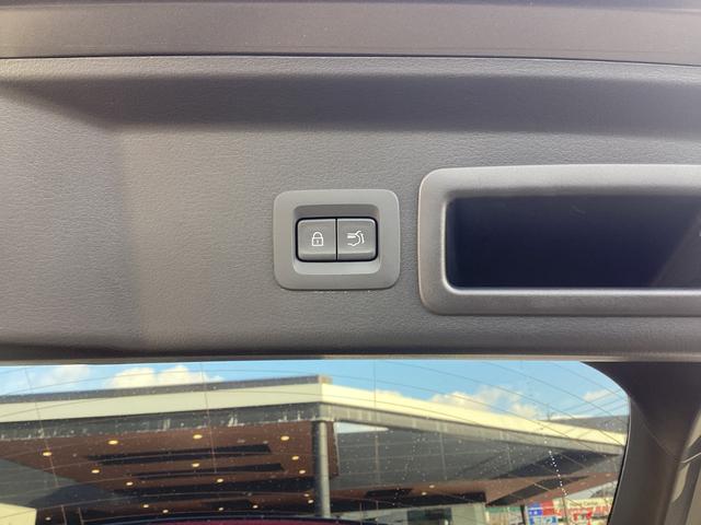 �p���[���t�g�Q�[�g�J�X�C�b�`