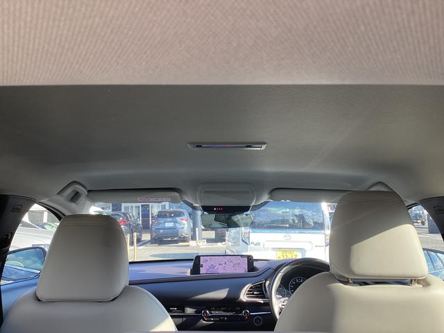 �V����Y��ł������͒��ÎԂ�����Ƃ��ɓV���ǂ�����悤�ɂ��Ă��܂����������Y��ȎԂ͎ԓ����Y��Ȃ��Ƃ������ł���