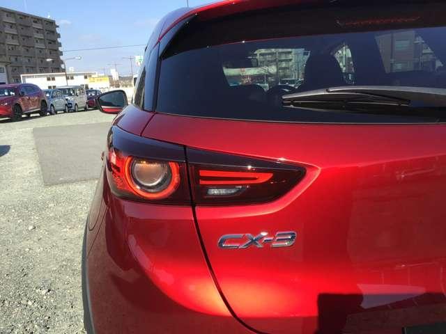 �����I�ȃ��C�g���ł��I