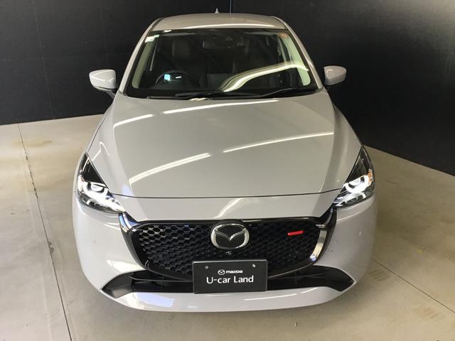 �X�^�C���b�V���ȃt�����g�}�X�N�I