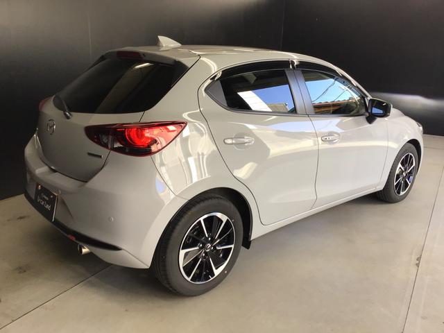 �������̃X�^�C�����ڂ������܂��B