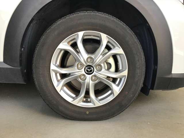 �A���~�z�C�[������������肪�������܂��Č����ăJ�b�R�����ł��ˁ�