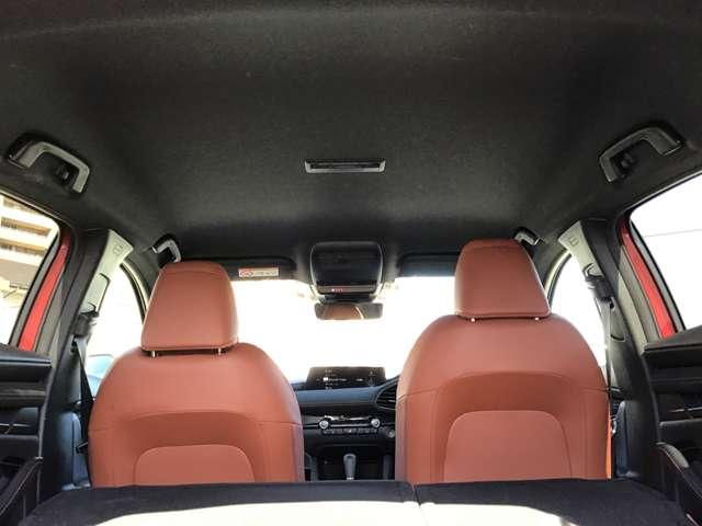 �V����Y��ł������͒��ÎԂ�����Ƃ��ɓV���ǂ�����悤�ɂ��Ă��܂����������Y��ȎԂ͎ԓ����Y��Ȃ��Ƃ������ł���