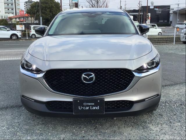 ���͂̃t�����g�}�X�N�ł��I�I