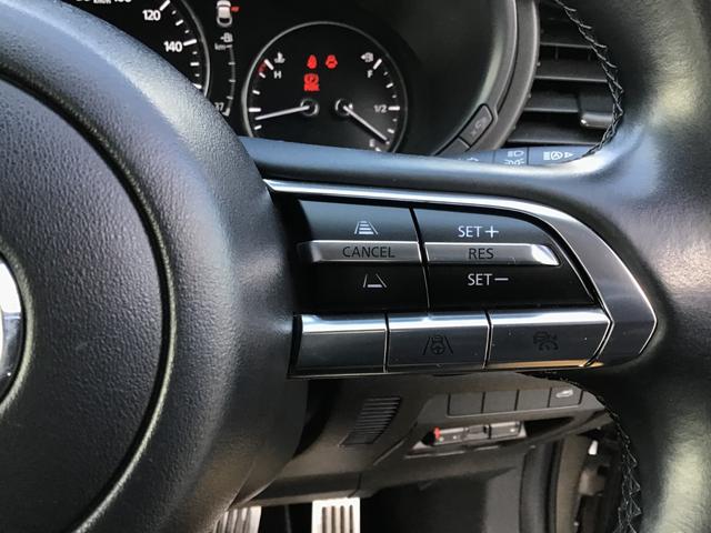 ���[�_�[�N���[�Y�R���g���[���𑕔��B�A�N�Z����u���[�L�𑀍삵�Ȃ��Ă��A�����Ő�s�ԂƂ̎Ԋԋ�����ۂ��Ǐ]���s�ł��܂��B�������⍂�����H���^�]����ۂɁA�h���C�o�[�ւ̕��S���y�����܂��B