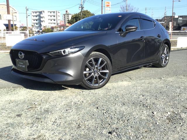 �������̂��Ԃ̒��œ��Ђ̎Ԃւ̋����������Ē����A���ɂ��肪�Ƃ��������܂��B