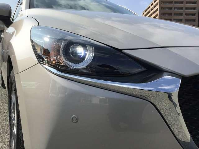 �l�C�̂k�d�c���C�g�I�I��ԑ��s�����邭�Ċy�ɂȂ�܂��ˁI