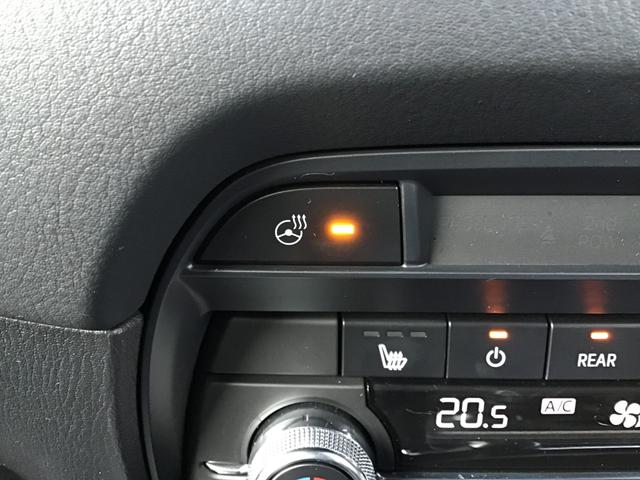 ＣＸ－８ ２．５　２５Ｓ　ブラックトーン　エディション　ナビ　ワイヤレス充電　シートヒーター　３６０°ビュー　ＬＥＤライト　スマートシティブレーキ　アルミホイール　オートエアコン　Ｐシート　メモリーナビゲーション　ＡＢＳ　Ｂカメラ　ＥＴＣ付き　スマートキー（39枚目）