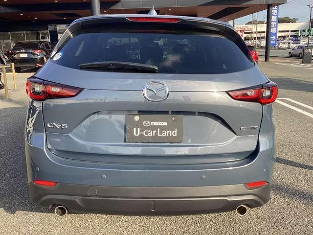 ���A�̃f�U�C���͂r�t�u�炵���͋����f�U�C���ɂȂ��Ă���܂��B