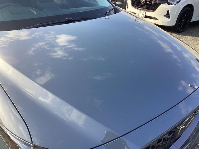 ���[�t�̏��