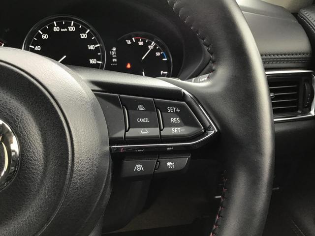 ���[�_�[�N���[�Y�R���g���[���𑕔��B�A�N�Z����u���[�L�𑀍삵�Ȃ��Ă��A�����Ő�s�ԂƂ̎Ԋԋ�����ۂ��Ǐ]���s�ł��܂��B�������⍂�����H���^�]����ۂɁA�h���C�o�[�ւ̕��S���y�����܂��B