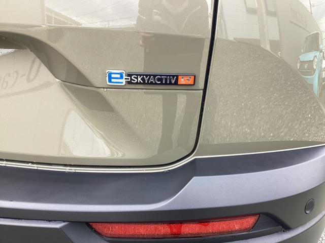 �N���}�����苎��܂ŁA�l�̖ڂɉf�肱�ނ��́B����l�𖣗��������B�B�B���������z���Ń}�c�_�f�U�C���͑���o����Ă��܂���