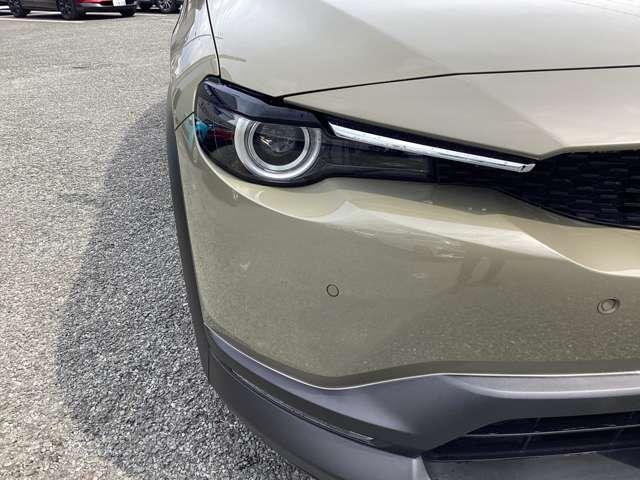 ��ԁA�O������̎Ԃ�o�C�N�A���s�҂��ڋ߂���Ԃ̊m�F�����₷���h�A�~���[�E�C���J�[�����ł��B