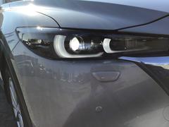 �͵��Σ̣ţĥ饤�ȡ���������Ԥ����뤯�Ƴڤˤʤ�ޤ��͡� 2