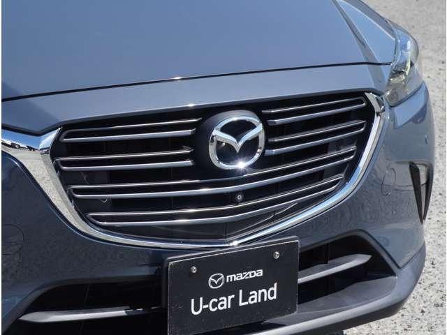 迫力のフロントグリルです！！