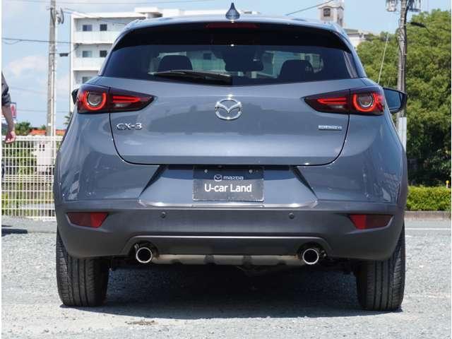 リアビューです。後ろから見ても目を引きます。