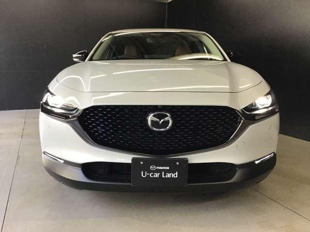 ���ʂ��炾���ł����������`���܂���ˁI