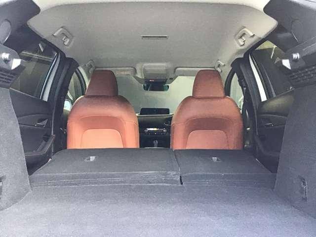 �㕔���Ȃ�|���Ƃ��Ȃ�̍L��������傫�ȉו������N���N�ς߂܂���I