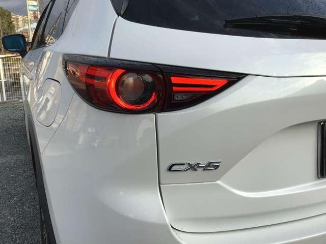 �����I�ȃ��C�g���ł��I