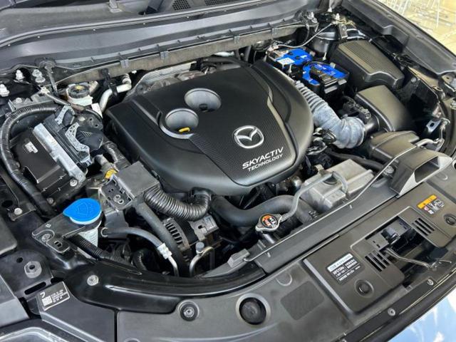 �S���ɓX�܂�W�J���Ă���̂łǂ��ł������񂹂��\�ł��I���̎Ԃ��C�ɂȂ邯�ǉ���������E�E�E�ƒ��߂�K�v�͂���܂���I���ʓr������K�v�ł��B