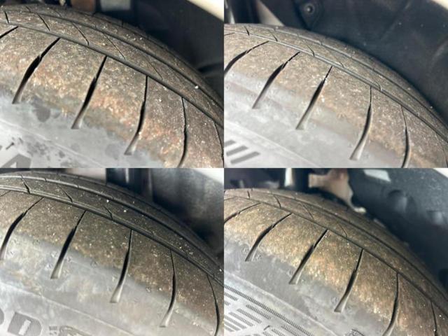 �u���̎Ԃ̎ʐ^�������ƌ������v�u��Ԃ��C�ɂȂ�v�u���̑����͂��Ă���H�v�ǂ�ȏ����ȋ^��ł����C�y�ɂ��₢���킹���������I