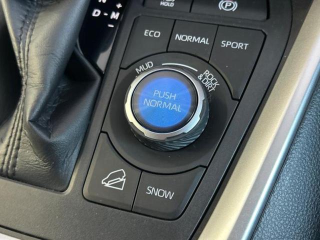 ＲＡＶ４ ４ＷＤアドベンチャー　サンルーフ／保証書／ディスプレイオーディオ＋ナビ／デジタルインナーミラー／トヨタセーフティセンス／車線逸脱防止支援システム／シート　合皮／パーキングアシスト　バックガイド　衝突被害軽減システム　４ＷＤ（41枚目）
