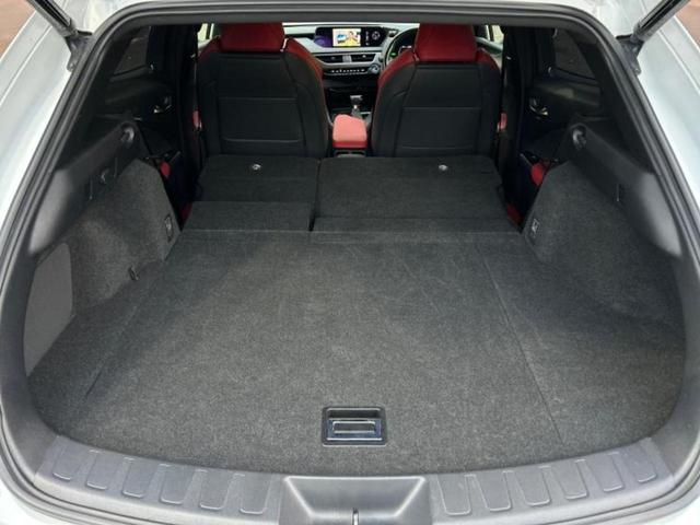 UX UX250h Fスポーツ サンルーフ/エアロ/保証書/純正 ナビ/衝突安全装置/エアーシート 前席/車線逸脱防止支援システム/シート フルレザー/電動バックドア/ヘッドランプ LED/ETC2.0/EBD付ABS 革シート(19枚目)