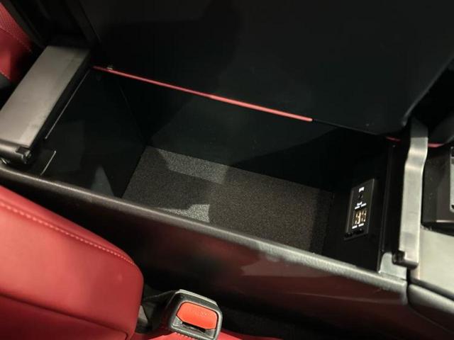 UX UX250h Fスポーツ サンルーフ/エアロ/保証書/純正 ナビ/衝突安全装置/エアーシート 前席/車線逸脱防止支援システム/シート フルレザー/電動バックドア/ヘッドランプ LED/ETC2.0/EBD付ABS 革シート(35枚目)