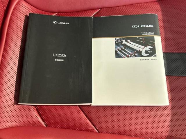 UX UX250h Fスポーツ サンルーフ/エアロ/保証書/純正 ナビ/衝突安全装置/エアーシート 前席/車線逸脱防止支援システム/シート フルレザー/電動バックドア/ヘッドランプ LED/ETC2.0/EBD付ABS 革シート(36枚目)