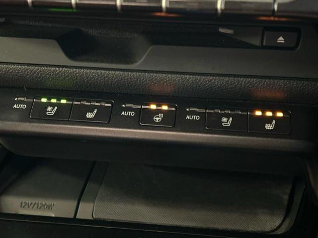 UX UX250h Fスポーツ サンルーフ/エアロ/保証書/純正 ナビ/衝突安全装置/エアーシート 前席/車線逸脱防止支援システム/シート フルレザー/電動バックドア/ヘッドランプ LED/ETC2.0/EBD付ABS 革シート(38枚目)