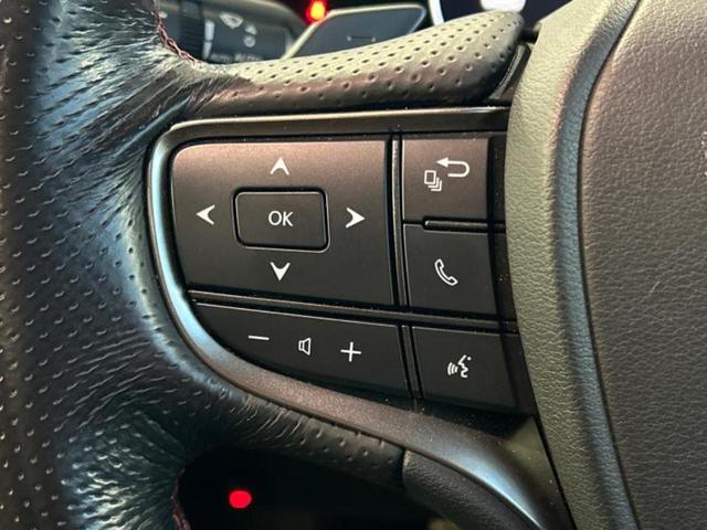 UX UX250h Fスポーツ サンルーフ/エアロ/保証書/純正 ナビ/衝突安全装置/エアーシート 前席/車線逸脱防止支援システム/シート フルレザー/電動バックドア/ヘッドランプ LED/ETC2.0/EBD付ABS 革シート(46枚目)