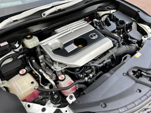 UX UX250h Fスポーツ サンルーフ/エアロ/保証書/純正 ナビ/衝突安全装置/エアーシート 前席/車線逸脱防止支援システム/シート フルレザー/電動バックドア/ヘッドランプ LED/ETC2.0/EBD付ABS 革シート(58枚目)