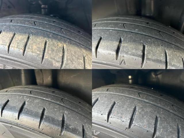 �u���̎Ԃ̎ʐ^�������ƌ������v�u��Ԃ��C�ɂȂ�v�u���̑����͂��Ă���H�v�ǂ�ȏ����ȋ^��ł����C�y�ɂ��₢���킹���������I