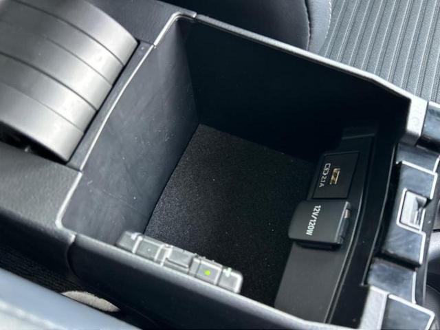 �u���̎Ԃ̎ʐ^�������ƌ������v�u��Ԃ��C�ɂȂ�v�u���̑����͂��Ă���H�v�ǂ�ȏ����ȋ^��ł����C�y�ɂ��₢���킹���������I