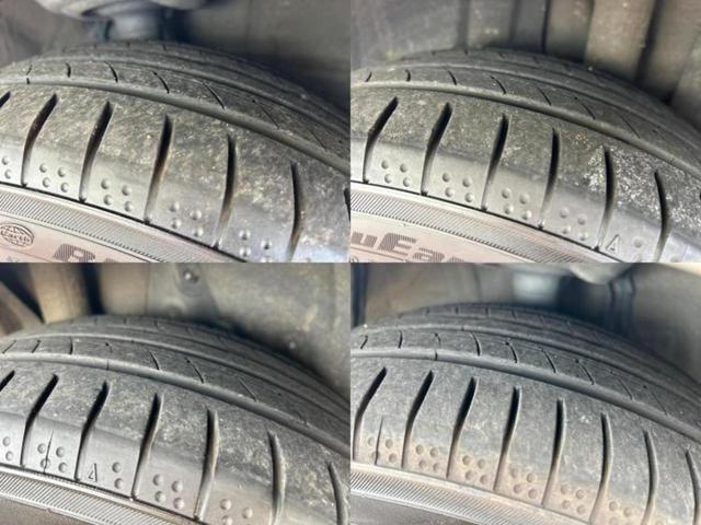 �u���̎Ԃ̎ʐ^�������ƌ������v�u��Ԃ��C�ɂȂ�v�u���̑����͂��Ă���H�v�ǂ�ȏ����ȋ^��ł����C�y�ɂ��₢���킹���������I