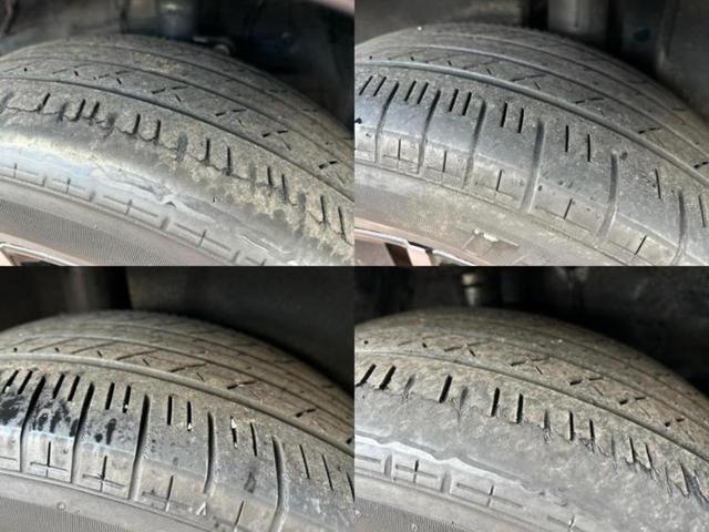 �u���̎Ԃ̎ʐ^�������ƌ������v�u��Ԃ��C�ɂȂ�v�u���̑����͂��Ă���H�v�ǂ�ȏ����ȋ^��ł����C�y�ɂ��₢���킹���������I