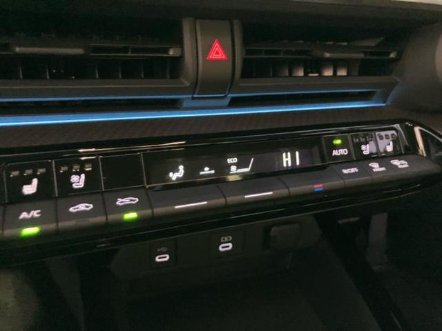 �u���̎Ԃ̎ʐ^�������ƌ������v�u��Ԃ��C�ɂȂ�v�u���̑����͂��Ă���H�v�ǂ�ȏ����ȋ^��ł����C�y�ɂ��₢���킹���������I