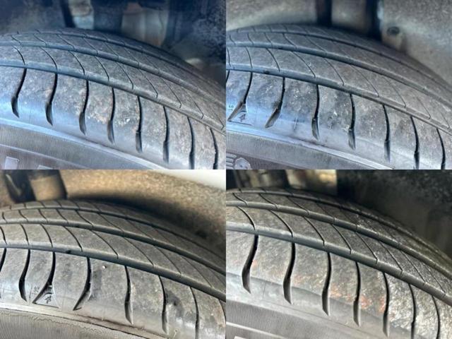 �u���̎Ԃ̎ʐ^�������ƌ������v�u��Ԃ��C�ɂȂ�v�u���̑����͂��Ă���H�v�ǂ�ȏ����ȋ^��ł����C�y�ɂ��₢���킹���������I