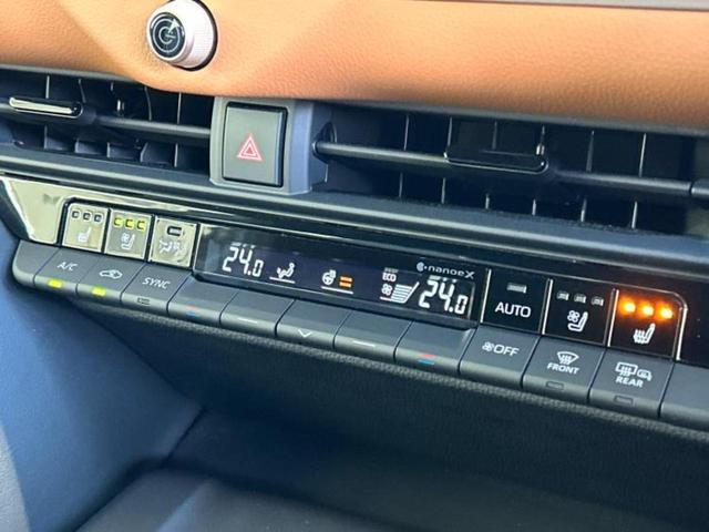 �u���̎Ԃ̎ʐ^�������ƌ������v�u��Ԃ��C�ɂȂ�v�u���̑����͂��Ă���H�v�ǂ�ȏ����ȋ^��ł����C�y�ɂ��₢���킹���������I