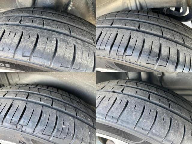 �u���̎Ԃ̎ʐ^�������ƌ������v�u��Ԃ��C�ɂȂ�v�u���̑����͂��Ă���H�v�ǂ�ȏ����ȋ^��ł����C�y�ɂ��₢���킹���������I