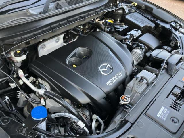 �S���ɓX�܂�W�J���Ă���̂łǂ��ł������񂹂��\�ł��I���̎Ԃ��C�ɂȂ邯�ǉ���������E�E�E�ƒ��߂�K�v�͂���܂���I���ʓr������K�v�ł��B