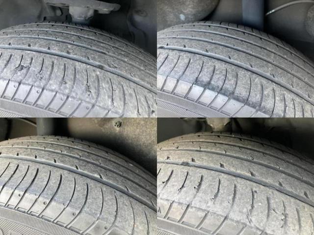 �u���̎Ԃ̎ʐ^�������ƌ������v�u��Ԃ��C�ɂȂ�v�u���̑����͂��Ă���H�v�ǂ�ȏ����ȋ^��ł����C�y�ɂ��₢���킹���������I