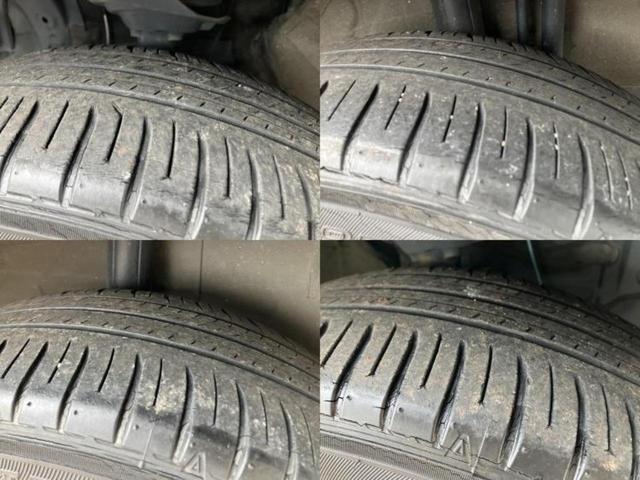 �u���̎Ԃ̎ʐ^�������ƌ������v�u��Ԃ��C�ɂȂ�v�u���̑����͂��Ă���H�v�ǂ�ȏ����ȋ^��ł����C�y�ɂ��₢���킹���������I