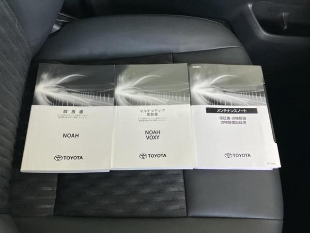 �u���̎Ԃ̎ʐ^�������ƌ������v�u��Ԃ��C�ɂȂ�v�u���̑����͂��Ă���H�v�ǂ�ȏ����ȋ^��ł����C�y�ɂ��₢���킹���������I