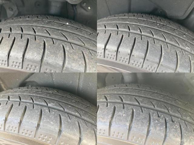 �u���̎Ԃ̎ʐ^�������ƌ������v�u��Ԃ��C�ɂȂ�v�u���̑����͂��Ă���H�v�ǂ�ȏ����ȋ^��ł����C�y�ɂ��₢���킹���������I