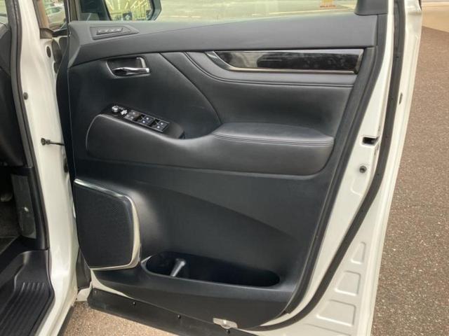 �u���̎Ԃ̎ʐ^�������ƌ������v�u��Ԃ��C�ɂȂ�v�u���̑����͂��Ă���H�v�ǂ�ȏ����ȋ^��ł����C�y�ɂ��₢���킹���������I