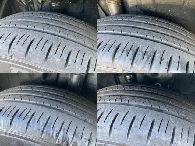 �u���̎Ԃ̎ʐ^�������ƌ������v�u��Ԃ��C�ɂȂ�v�u���̑����͂��Ă���H�v�ǂ�ȏ����ȋ^��ł����C�y�ɂ��₢���킹���������I