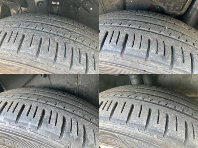 �u���̎Ԃ̎ʐ^�������ƌ������v�u��Ԃ��C�ɂȂ�v�u���̑����͂��Ă���H�v�ǂ�ȏ����ȋ^��ł����C�y�ɂ��₢���킹���������I